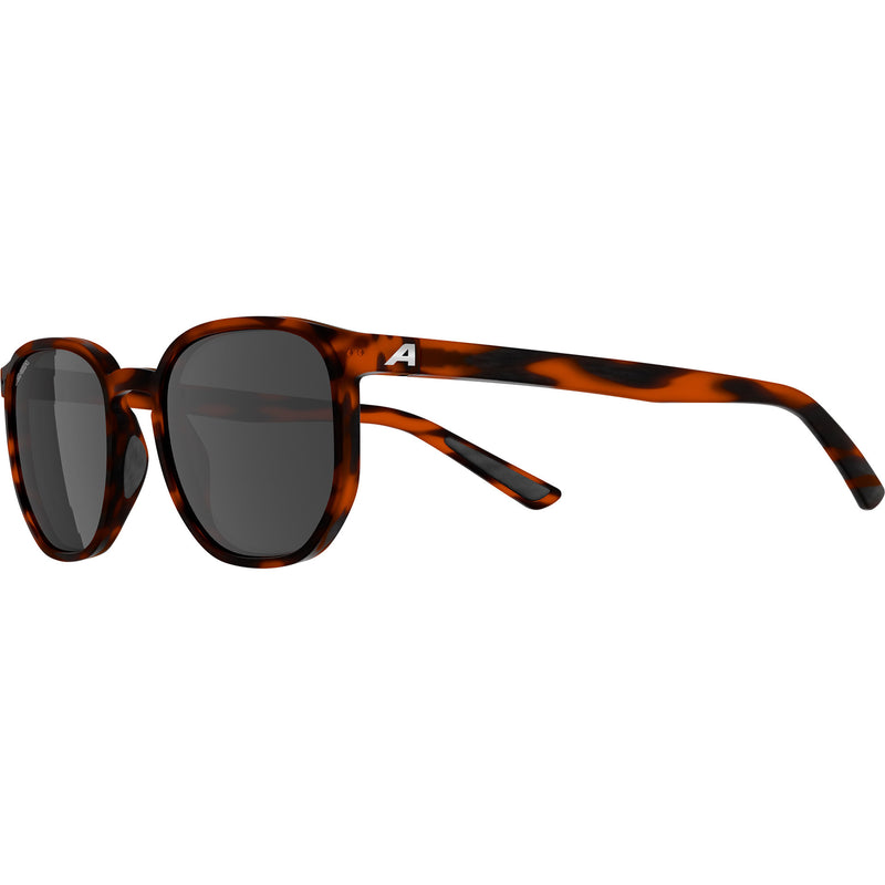 Load image into Gallery viewer, Olympic sportswear alpina sports lifestyle bril dimont zwarte lens havana