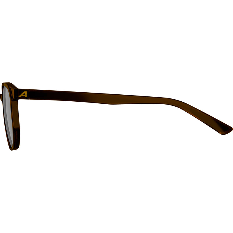 Load image into Gallery viewer, Olympic sportswear alpina sports lifestyle bril dimont bruine lens bruin