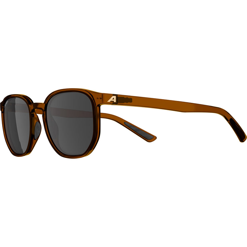 Load image into Gallery viewer, Olympic sportswear alpina sports lifestyle bril dimont bruine lens bruin