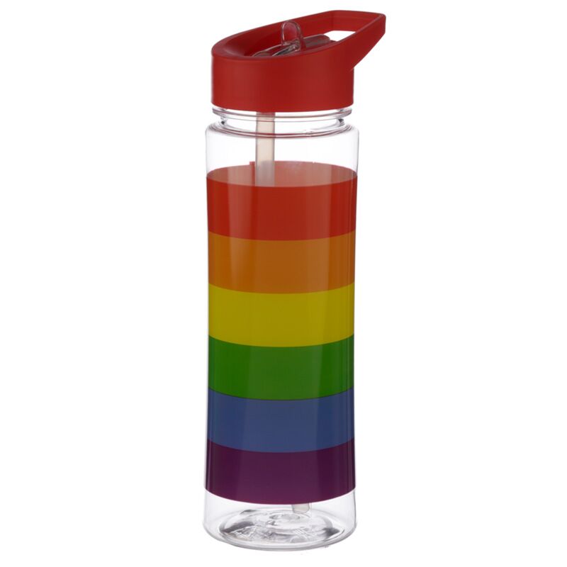 Afbeelding laden in galerijviewer, Somewere regenboog duurzame 550ml waterfles flip straw