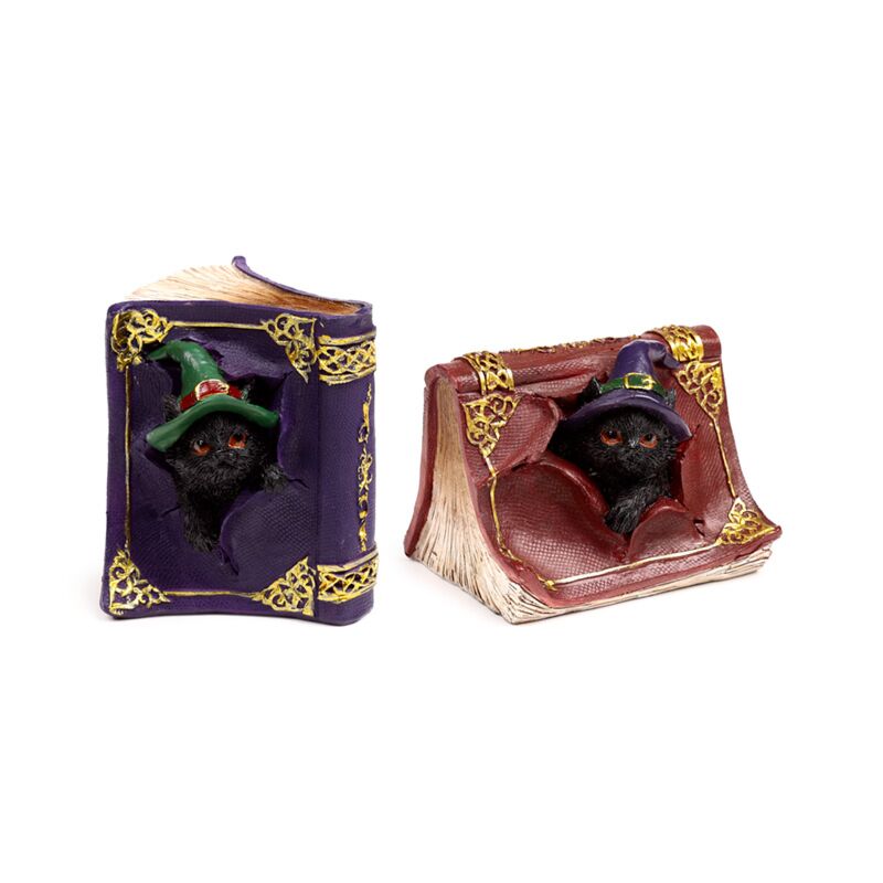 Afbeelding laden in galerijviewer, Heksen zwarte kat mischievous spell book