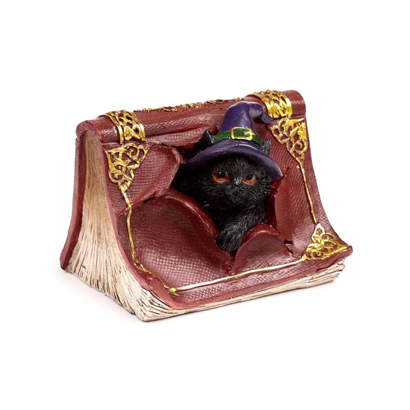Afbeelding laden in galerijviewer, Heksen zwarte kat mischievous spell book