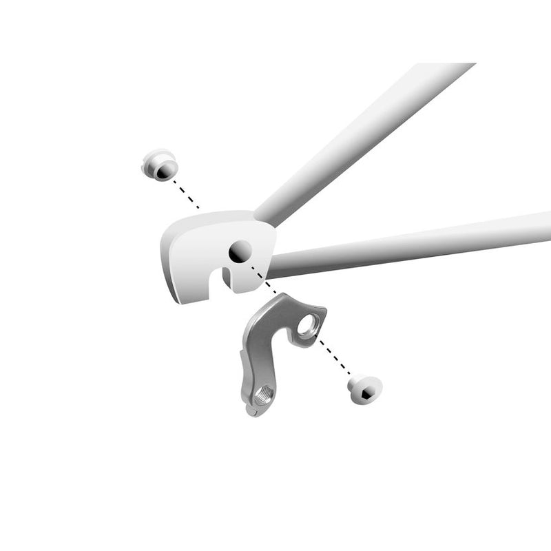 Load image into Gallery viewer, Union derailleurpad GH-061 met schroefset M8x0.75