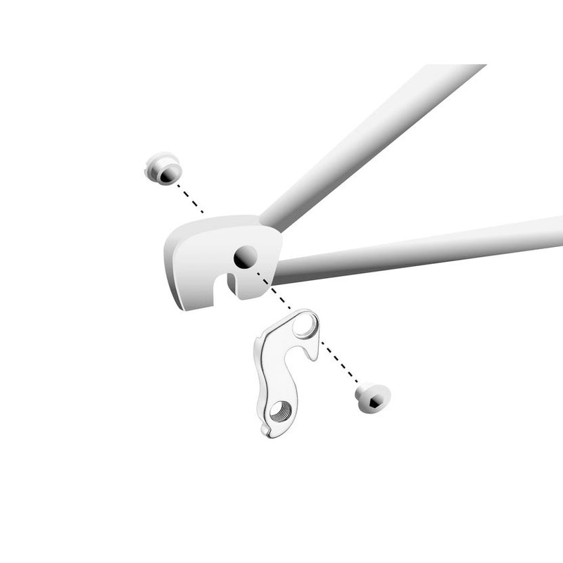 Load image into Gallery viewer, Union derailleurpad GH-101 met schroefset M8x0.75