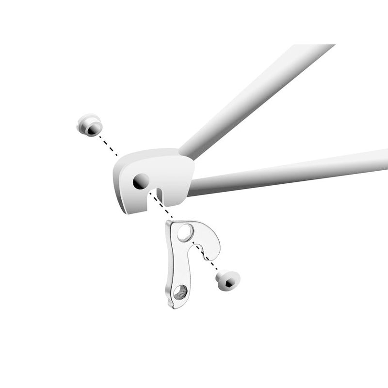 Load image into Gallery viewer, Union derailleurpad GH-123 met schroefset M8x0.75