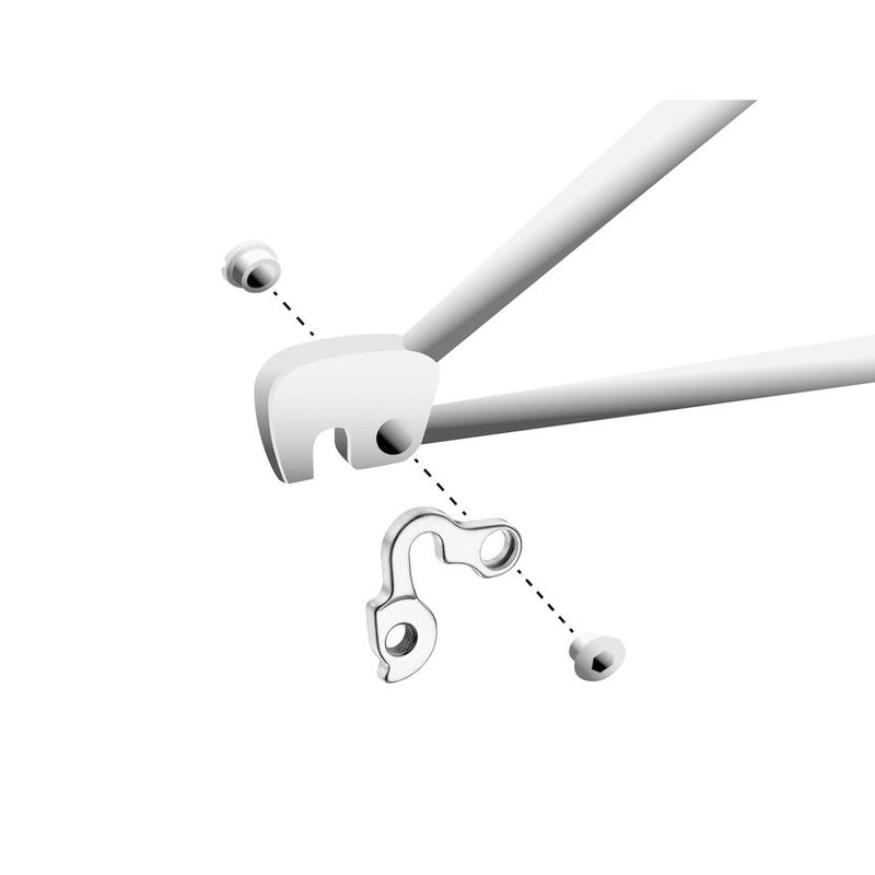 Load image into Gallery viewer, Union derailleurpad GH-129 met schroefset M8x0.75