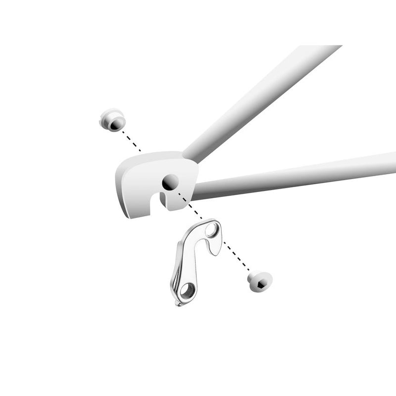 Load image into Gallery viewer, Union derailleurpad GH-139 met schroefset M8x0.75