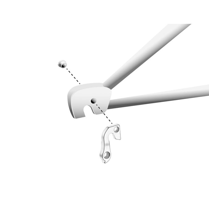 Load image into Gallery viewer, Union derailleurpad GH-146 met schroef M8x1.2