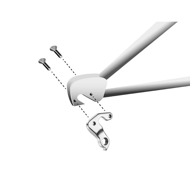 Load image into Gallery viewer, Union schaltauge dropout gh-157 incl. screws