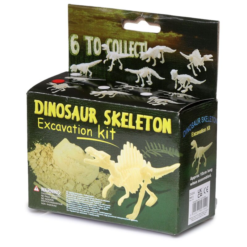 Afbeelding laden in galerijviewer, Klein dinosaurus geraamte opgraving set