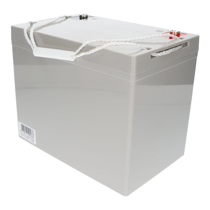 Load image into Gallery viewer, Yanec gel accu 12v 80ah