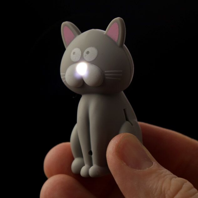 Load image into Gallery viewer, Kat licht geluid miauw sleutelhanger