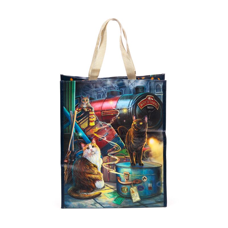 Load image into Gallery viewer, Hoppe lisa parker witchwood express cat duurzame sr tas