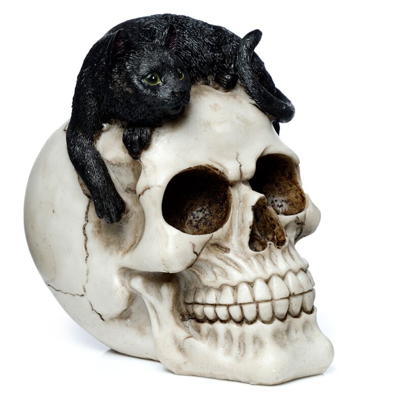 Load image into Gallery viewer, Schedel met zwarte kat woonaccessoire
