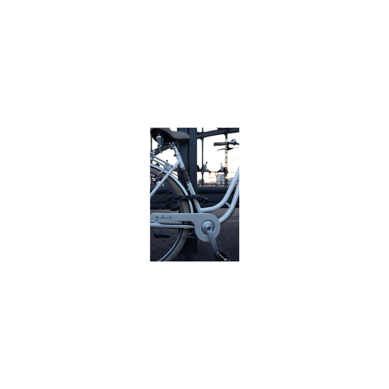 Load image into Gallery viewer, Abus Ivera Chain 7210 110 - Zwart - Kettingslot - 110cm