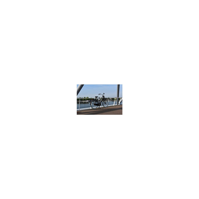 Load image into Gallery viewer, Abus CityChain 8800 95 2.0 zwart - kettingslot 95cm