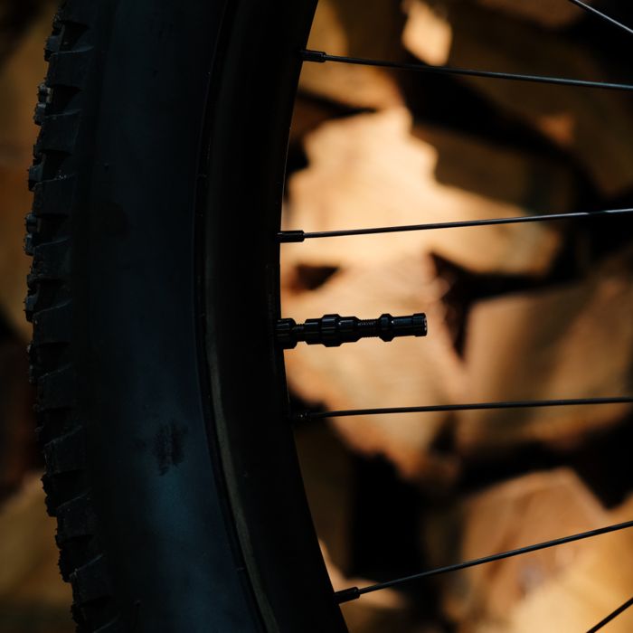 Load image into Gallery viewer, Stans stan's tubeless exo-core valves - extra tall - black