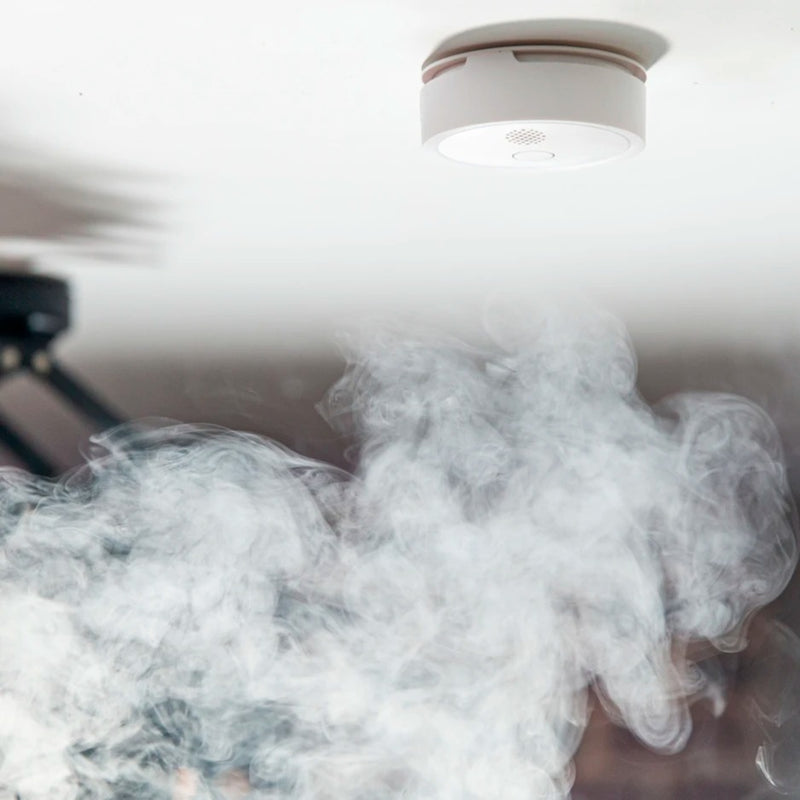 Load image into Gallery viewer, Shelly Shelly Plus Smoke