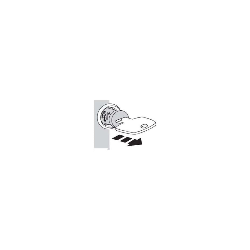 Load image into Gallery viewer, Thule wisselsleutel masterkey