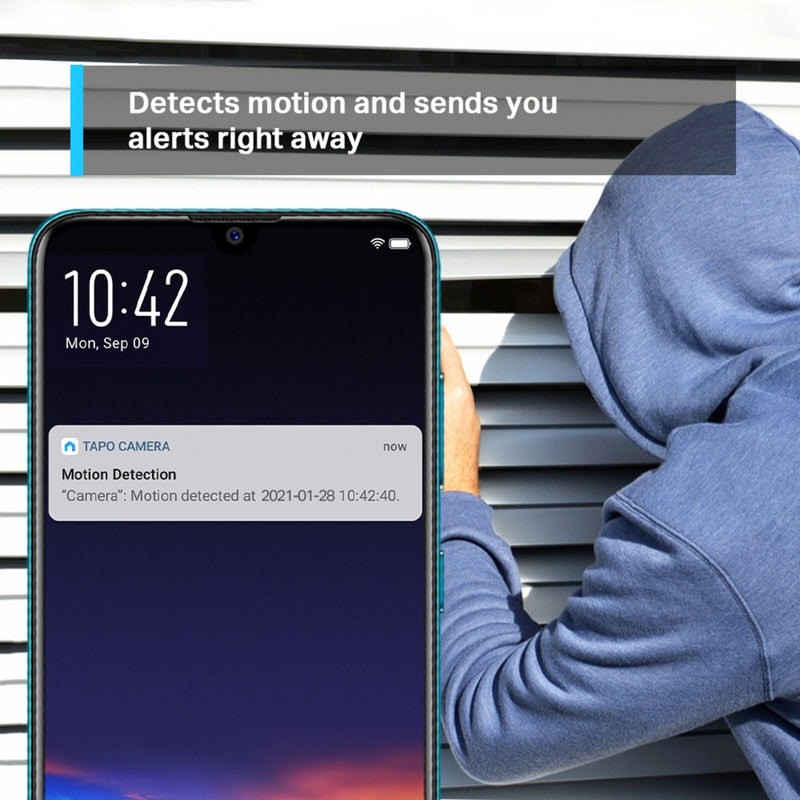 Load image into Gallery viewer, TP-Link Tapo C210