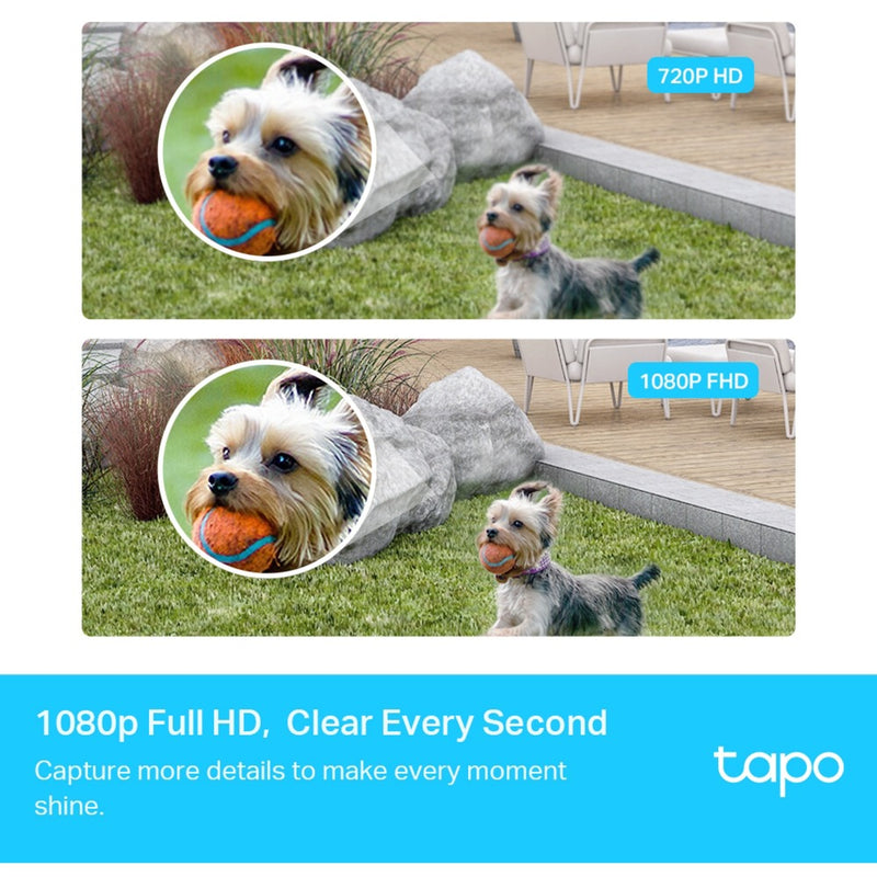 Load image into Gallery viewer, TP-Link Tapo C400S2