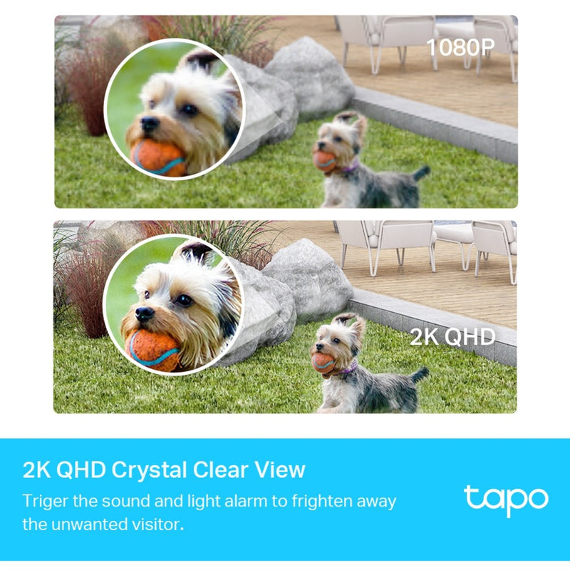 Load image into Gallery viewer, TP-Link TP-Link Tapo C420S2