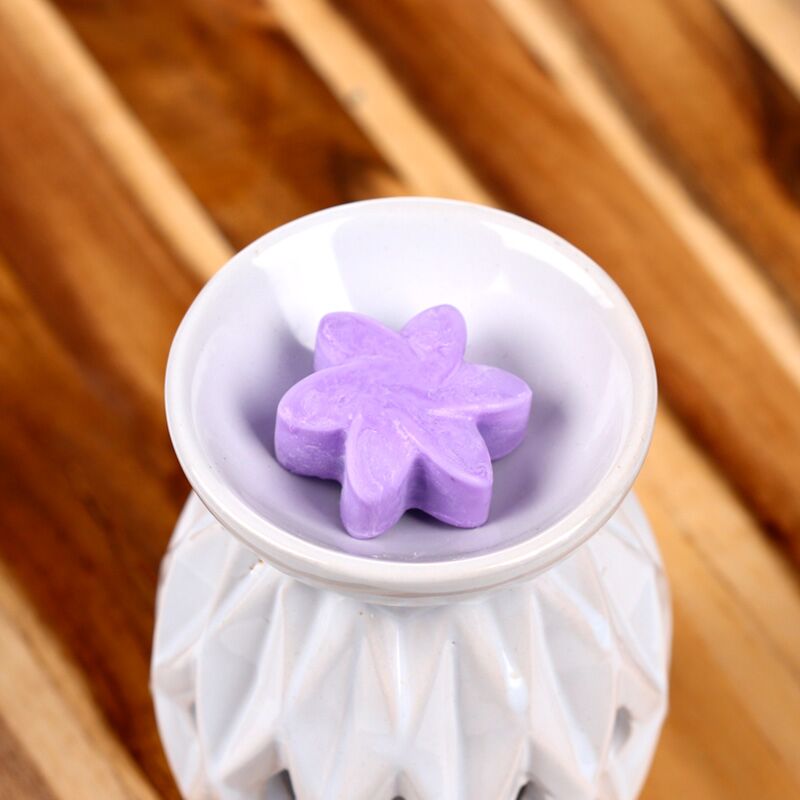 Load image into Gallery viewer, Lavendel velden set van 6 waxmelts
