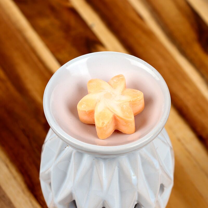 Afbeelding laden in galerijviewer, Mango fruit set van 6 waxmelts