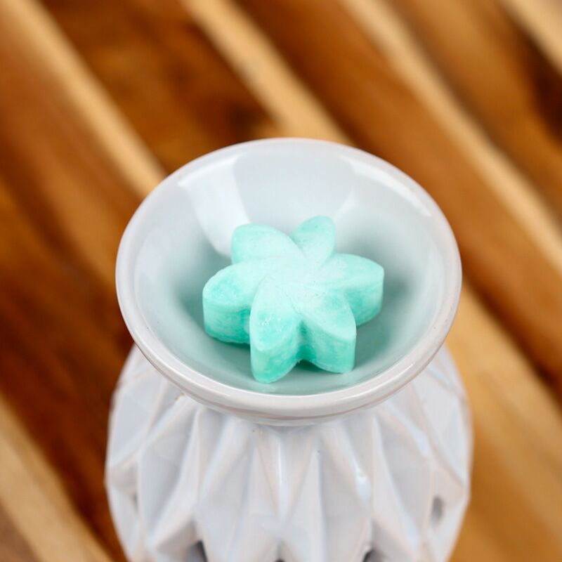 Afbeelding laden in galerijviewer, Geheime tuin set van 6 waxmelts