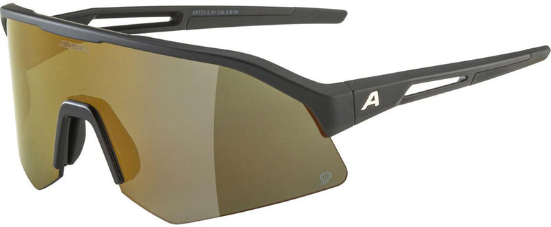 Load image into Gallery viewer, Alpina sonic hr q - sports glasses