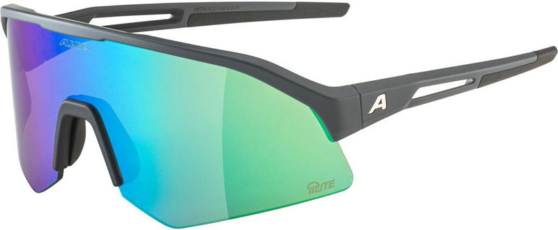 Load image into Gallery viewer, Alpina sonic hr q-lite - sports glasses