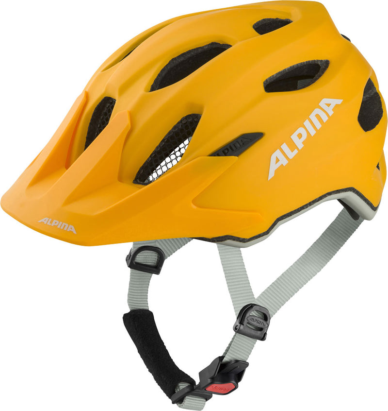 Load image into Gallery viewer, Alpina carapax jr. - youth mtb helmet