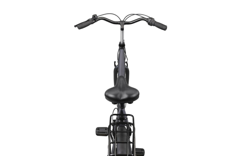 Load image into Gallery viewer, Altec marquant 28 inch 56 cm dames 3v v-brakes grijs