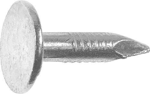 Afbeelding laden in galerijviewer, Connex schalienagel 2.8x12 vz emmer 1.0kg - b30121