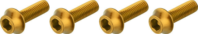 Load image into Gallery viewer, Wolf tooth components bottle cage screws