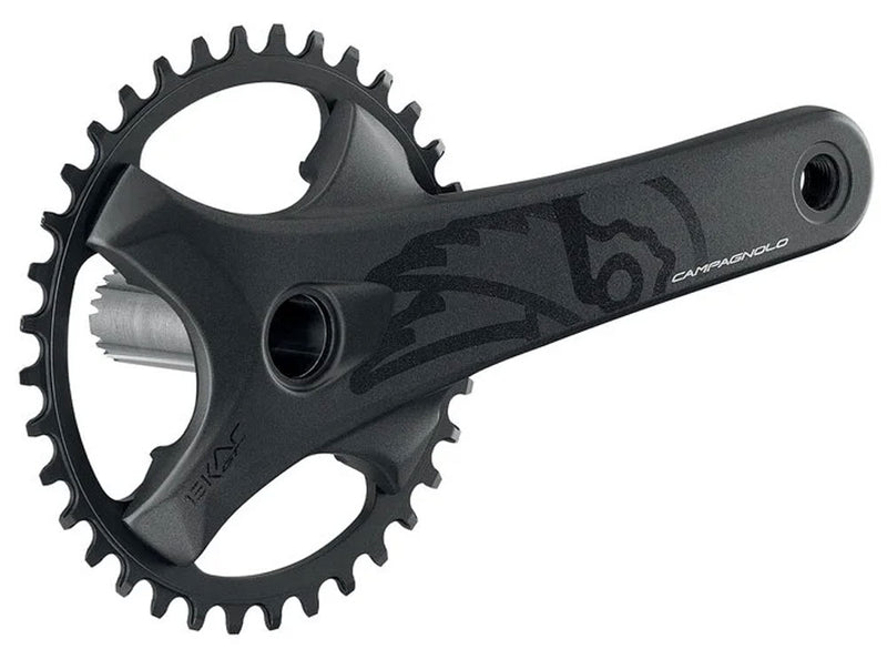 Load image into Gallery viewer, Campagnolo ekar gt 1x13-speed crankset 38t | 175mm
