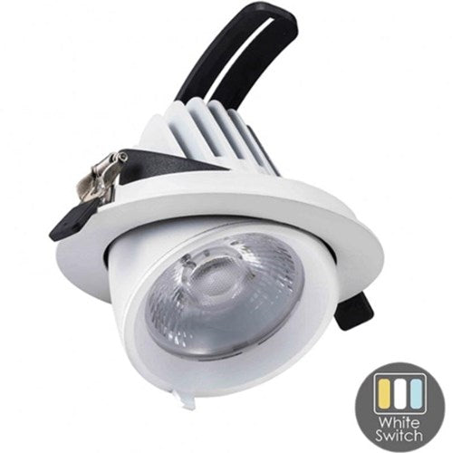Afbeelding laden in galerijviewer, Enzo cct led downlighter wit 30w banaan model 45gr. tri-white - led2380