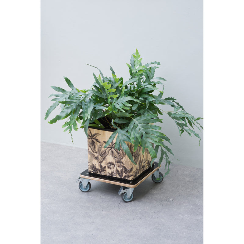 Load image into Gallery viewer, Nature planttrolley vierkant rolplank (zwart)
