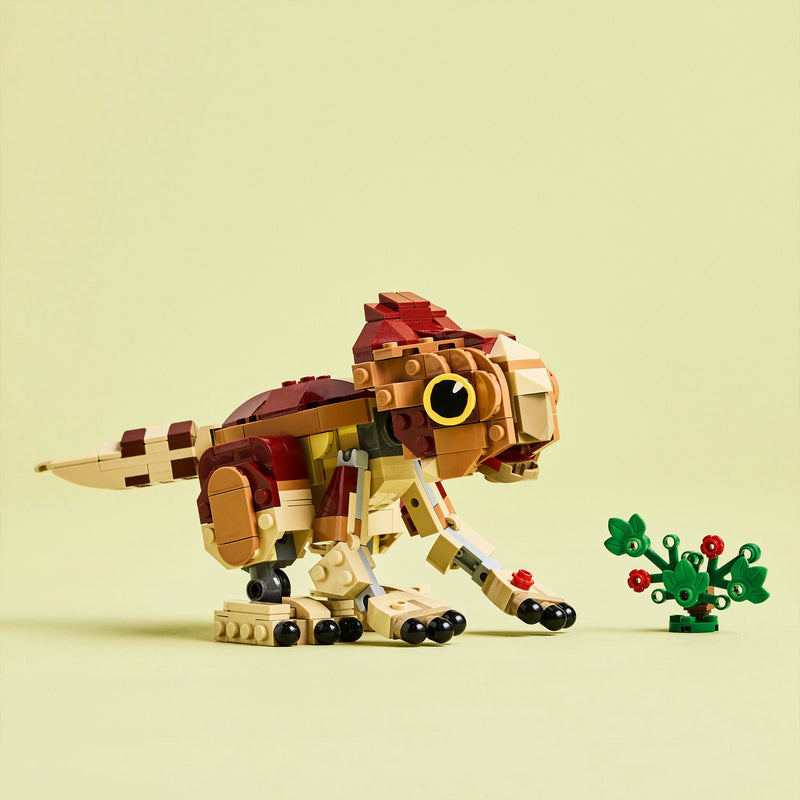 Load image into Gallery viewer, Lego ® jurassic world babydinosaurus dolores: aquilops speelgoedset - 76970