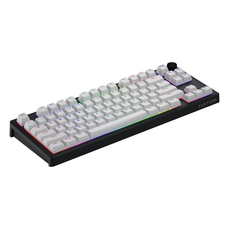 Load image into Gallery viewer, Hator skyfall mag ultra 8k rgb mechanisch gaming toetsenbord (zwart, us lay-out (qwerty), hator aurum ice, 80% (tkl), rgb, double-shot pbt, hot-swap)