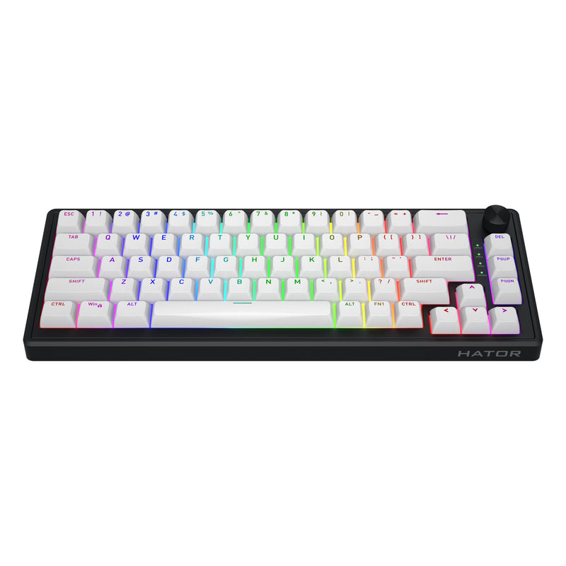 Load image into Gallery viewer, Hator skyfall mag ultra 8k rgb mechanisch gaming toetsenbord (zwart, us lay-out (qwerty), hator aurum ice, 65%, rgb, double-shot pbt, hot-swap)