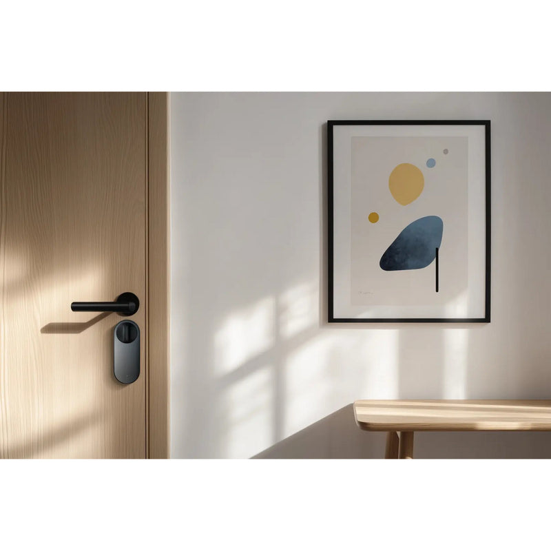 Afbeelding laden in galerijviewer, Aqara smart lock u200 lite kit elektronisch deurslot (zwart, matter via thread, bluetooth 5.1, nfc)