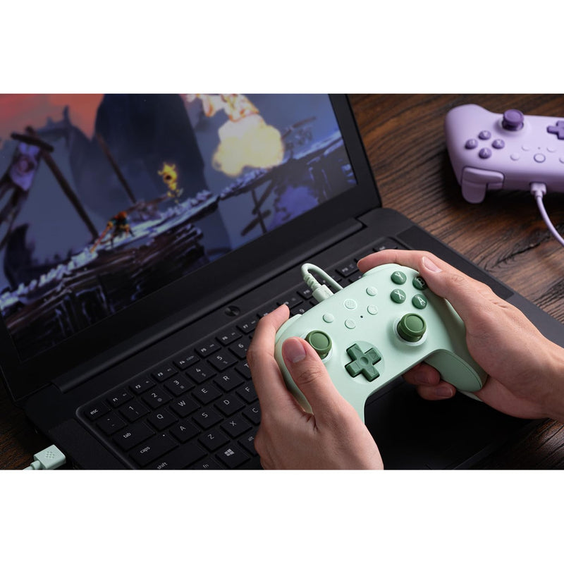 Load image into Gallery viewer, 8bitdo ultimate 2c wired gamepad (groen)