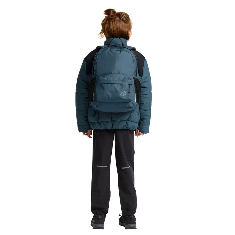 Load image into Gallery viewer, Jack wolfskin rebel pack 25 rugzak (blauw)