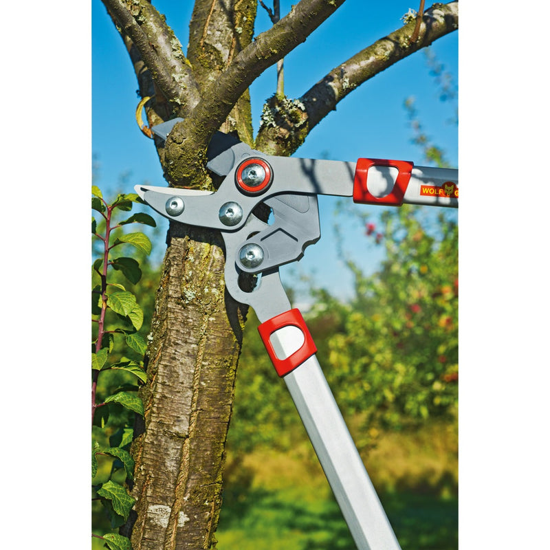 Load image into Gallery viewer, Wolf-garten takkenschaar basic plus power cut* rs 650 (rood geel)