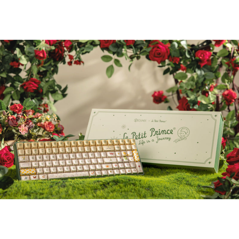 Afbeelding laden in galerijviewer, Iqunix f97 floral date rgb mechanisch gaming toetsenbord (groen, us lay-out (qwerty), iqunix little prince, 96%, rgb leds, hot-swappable, pbt, 2.4ghz | bluetooth 5.1 | usb-c)
