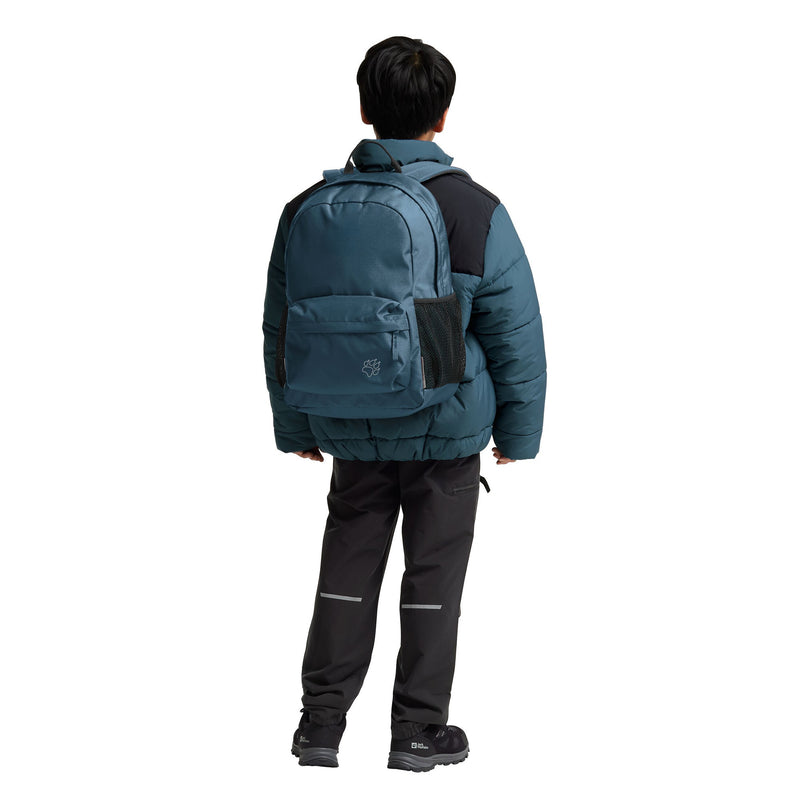 Load image into Gallery viewer, Jack wolfskin rebel pack 25 rugzak (blauw)