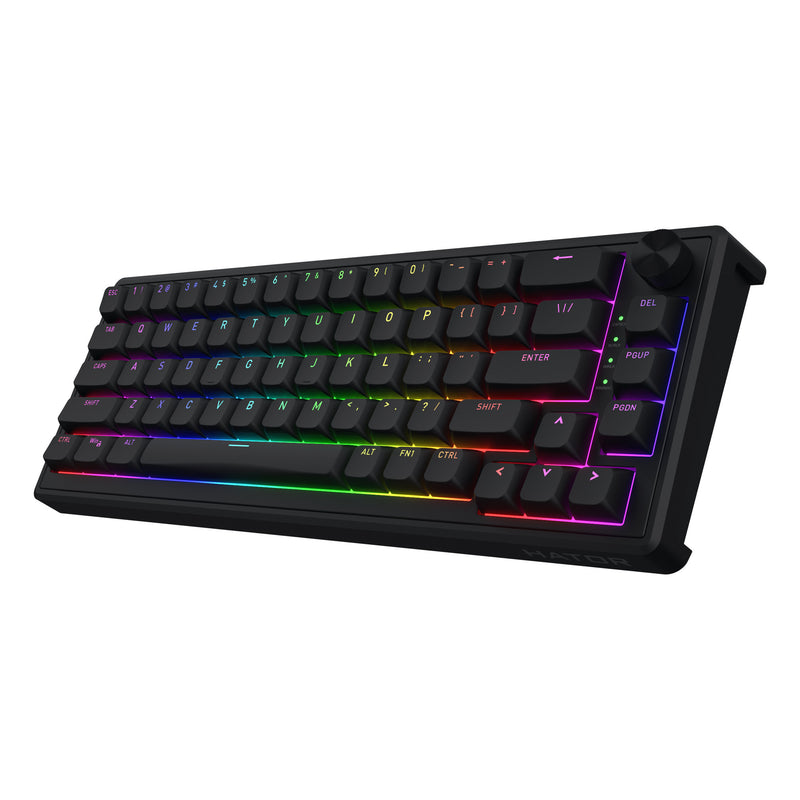 Load image into Gallery viewer, Hator skyfall wired rgb mechanisch gaming toetsenbord (zwart, us lay-out (qwerty), hator aurum sterling, 65%, rgb, double shot abs, hot-swap)