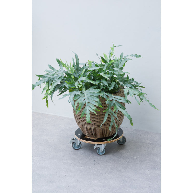 Load image into Gallery viewer, Nature planttrolley rond rolplank (zwart)