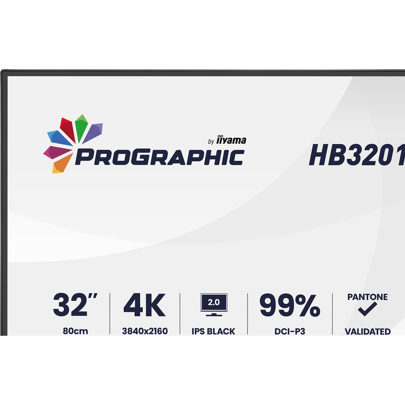 Load image into Gallery viewer, Iiyama prographic hb3201uhsnp-b1 31.5 4k uhd monitor (zwart (mat), hdmi, displayport, usb-c, audio)